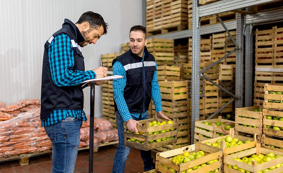 Two employees checking fresh produce