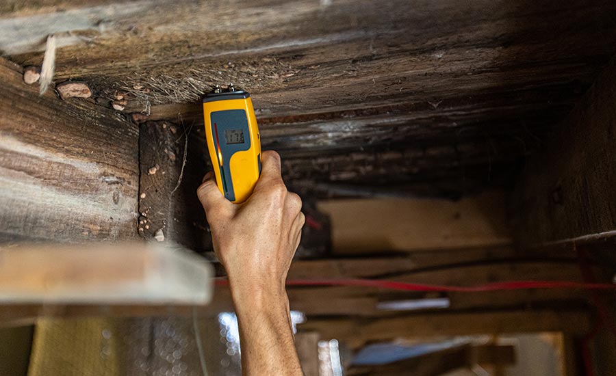 A termite inspector writing down his findings